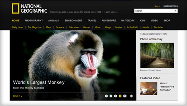 可以留电话的骚扰网站